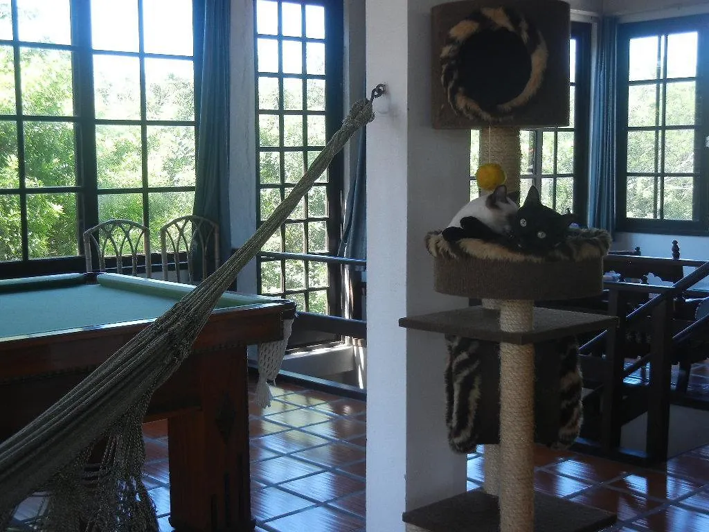 The Cats' House Hotel Florianopolis Guest house