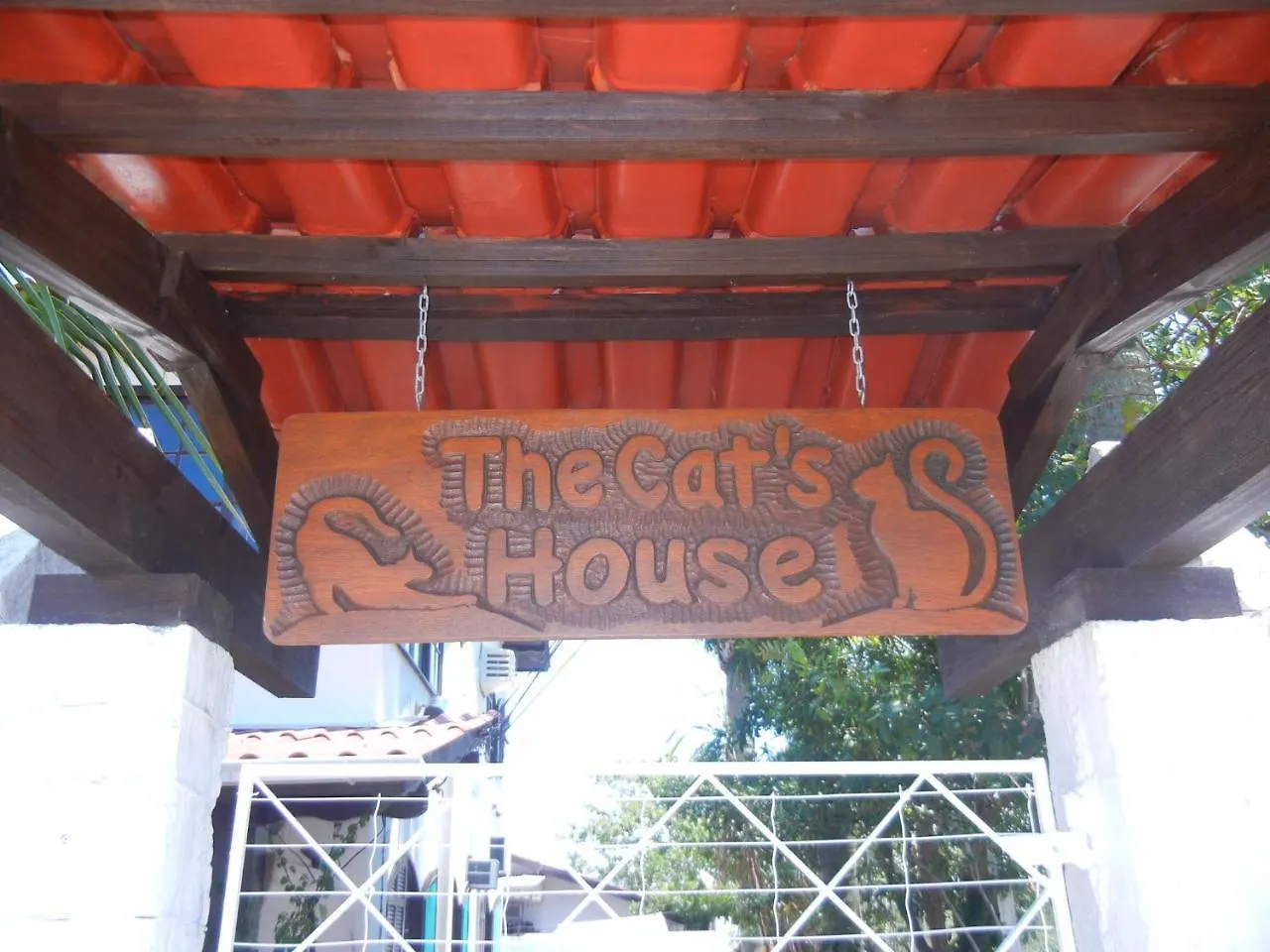 Penzion Hotel The Cats' House Florianópolis Brazílie