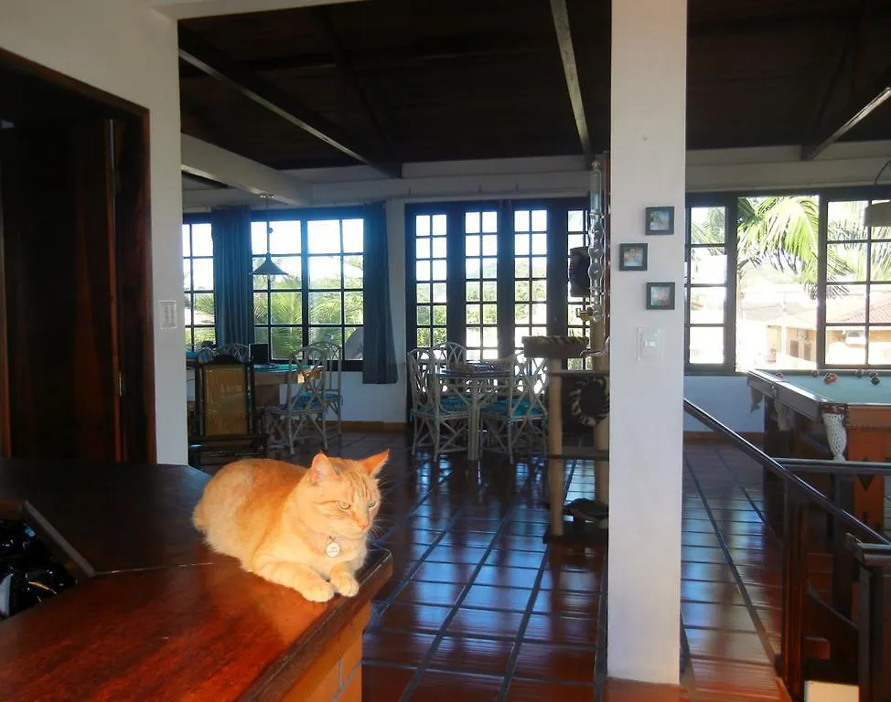 Hotel The Cats' House Florianópolis
